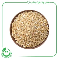 بلغور جو ارگانیک آبگینه - 900 گرم