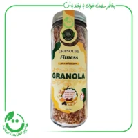 گرانولا فیتنس گرانولایف وگان ویگر - 370 گرم