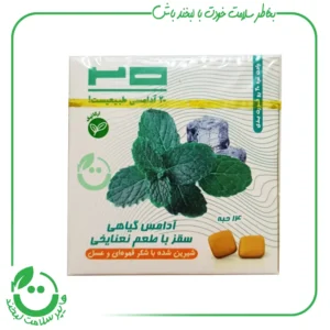 آدامس گیاهی سقز با طعم نعنایخی 20