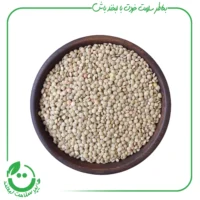 عدس ارگانیک آبگینه - 900 گرم