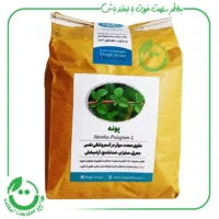 دمنوش پونه ارگانیک باغ فیروزه - 60 گرم