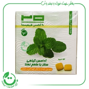 آدامس گیاهی سقز نعنا 20