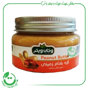 Peanut butter vegan vigor 1