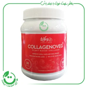 پودر کلاژن هیدرولیز گیاهی دکتر وگنیسم ـ 240 گرم