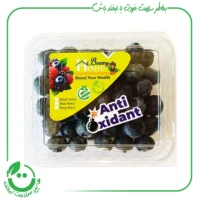 بلوبری تازه berry house ـ 125 گرم