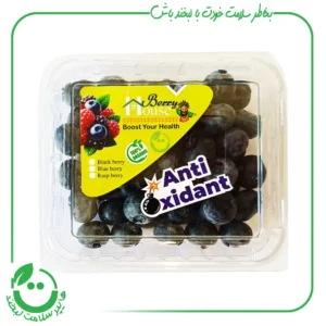 بلوبری تازه berry house ـ 125 گرم