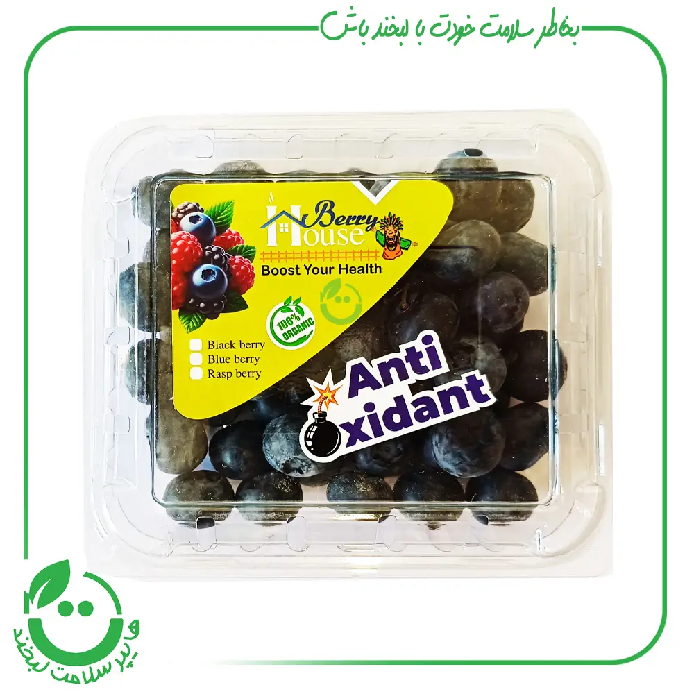 بلوبری تازه berry house ـ 125 گرم
