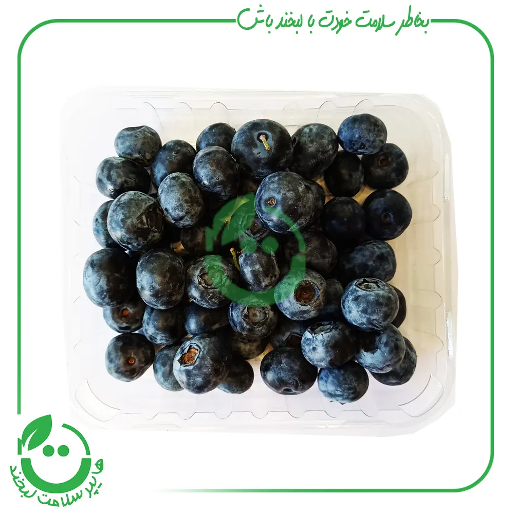 بلوبری تازه berry house ـ 125 گرم