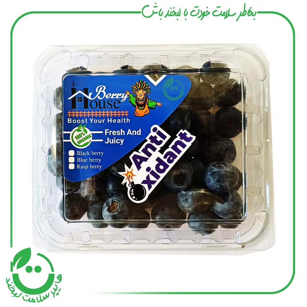 بلوبری تازه berry house ـ 125 گرم